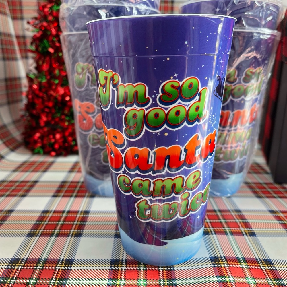 Santa Adult Humor Tumbler Plastic Cup Tumbler